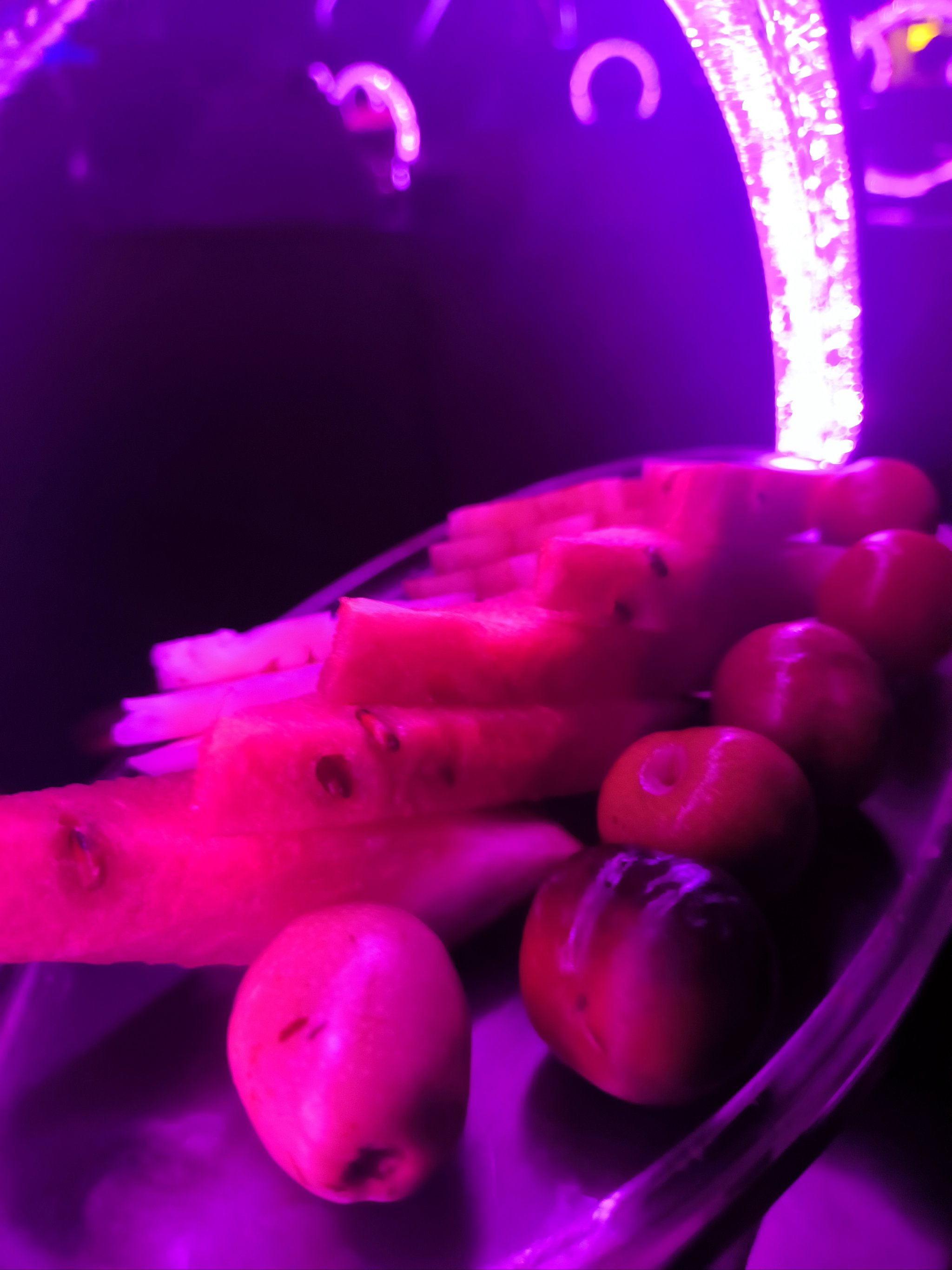 沈阳商务ktv推荐优质单人商务ktv选择-浑南区ktv预定